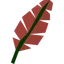 Red feather