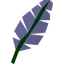 Blue feather