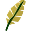Yellow feather