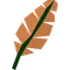Orange feather