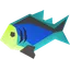Rainbow fish