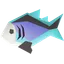Raw rainbow fish