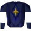 Saradomin d'hide body