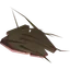 Yak-hide