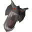 Draconic visage