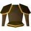 Bronze platebody (g)