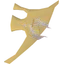 Arcane spirit shield