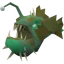 Raw anglerfish