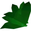Doogle leaves