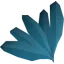 Woad leaf