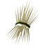 Grain