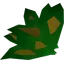 Grimy guam leaf