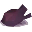 Imbued heart