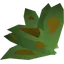 Grimy irit leaf