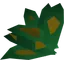 Grimy avantoe