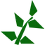 Equa leaves