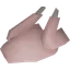 Raw chicken