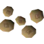 Teak seed