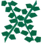 Giant seaweed
