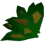 Grimy dwarf weed