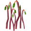 Bryophyta's essence