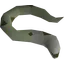 Mottled eel