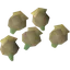 Celastrus seed