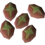 Redwood tree seed