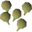 Potato cactus seed