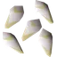 White lily seed