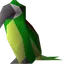 Shoulder parrot