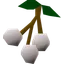White berries