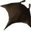 Blighted manta ray