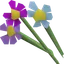 Assorted flowers