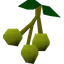Jangerberries