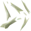 Bone fragments