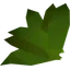 Ranarr weed