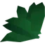 Avantoe
