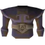Ancient ceremonial top