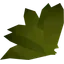 Kwuarm