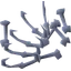 Wyrmling bones