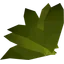 Snapdragon