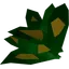 Grimy toadflax