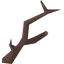 Ent branch