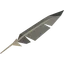 Gryphon feather