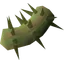 Potato cactus