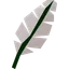 Feather