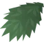 Hemp