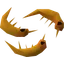 Shrimps