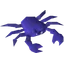 Blue crab
